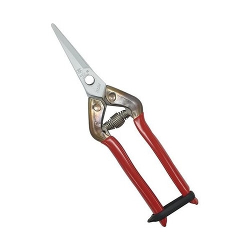 近正 ステンレス抗菌鋏 BP