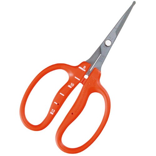 近正 ステンぶどう鋏 曲先丸フッソ