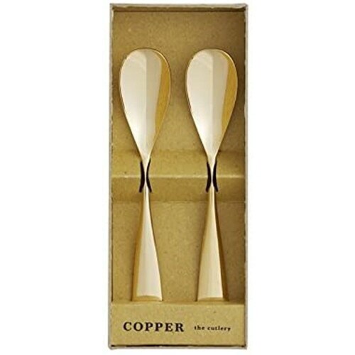 アイスクリームスプーンx2本