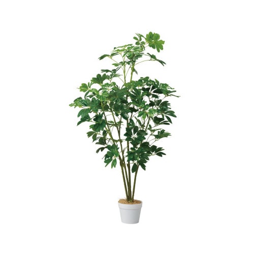シェフレラ(人工樹木) 135cm