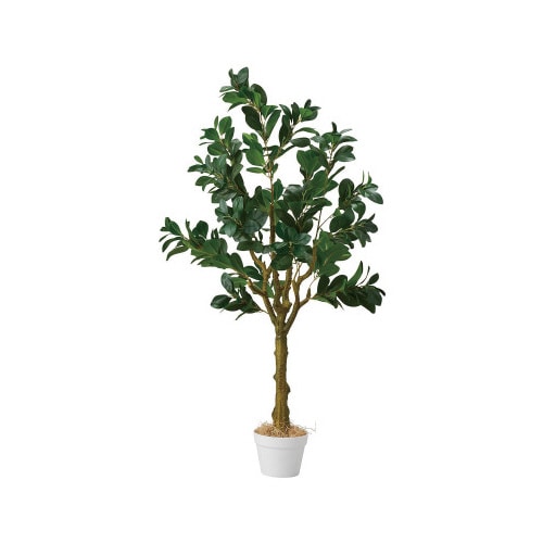 ペペロミア(人工樹木) 135cm