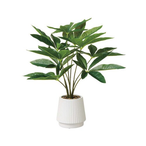 フェイクグリーン セラミックポット パキラ