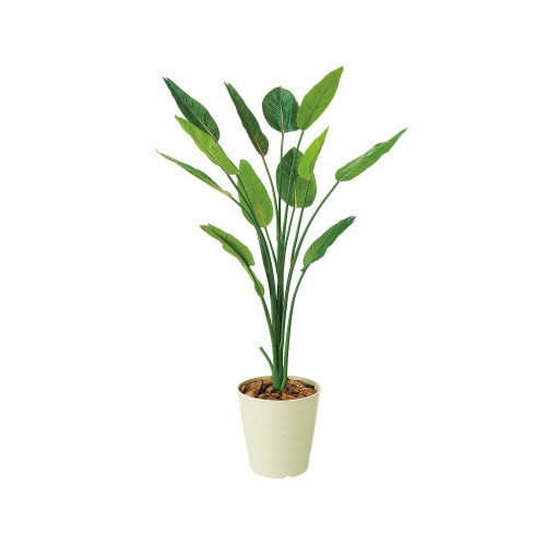 人工樹木 H160cm ストレチア