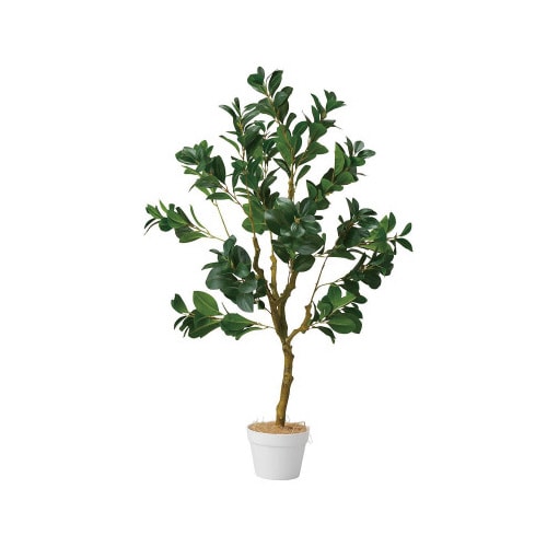ペペロミア(人工樹木) 115cm