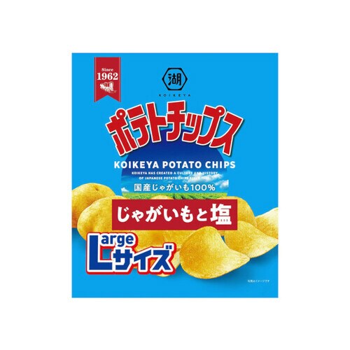 ポテトチップスじゃがいも塩Lサイズ126gx12