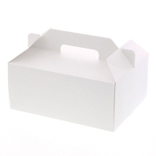 Nホワイトキャリーケース 18×24