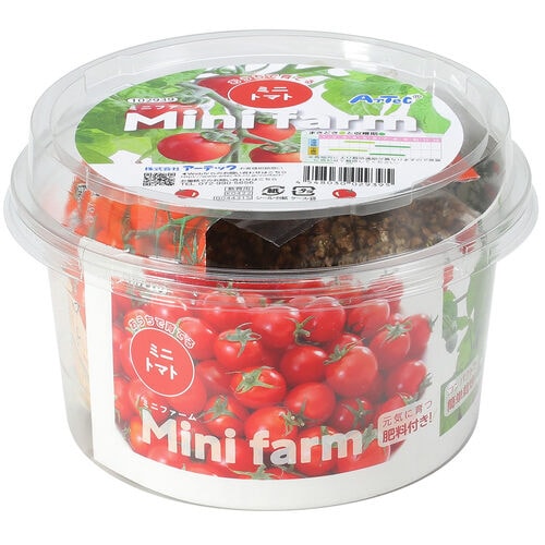 ミニファームおうちで育てるミニトマト