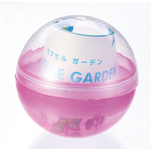 カプセルガーデン イタリアンパセリ