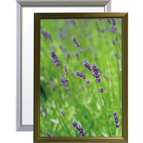 レジェーロ A3 ブロンズ