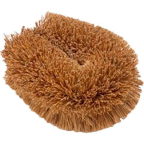 亀の子 パーム チビッコ P