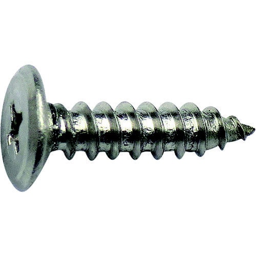 ステンレス 超低頭タッピング 3x10 14本入