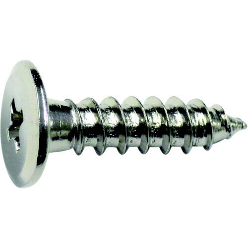 ニッケル 超低頭タッピング 3x16 12本入