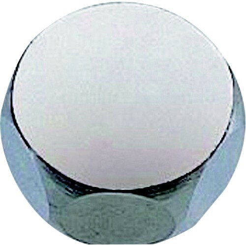 B41A2420 キャップナットG3/4