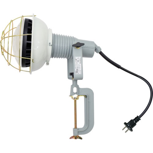 エコビックLED投光器50W 昼白色 2P0.3m