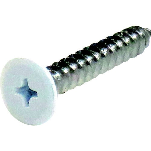 ステンレス カラー低頭タッピングねじ