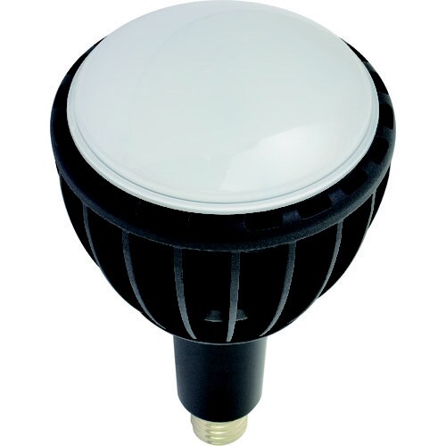 LED交換球 エコビック100W