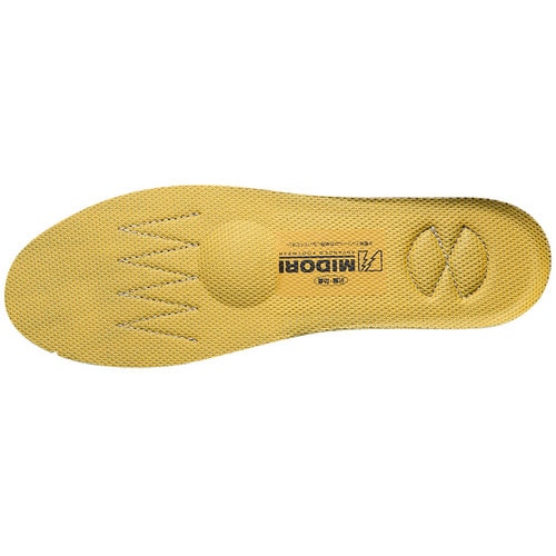 PRM用 静電インソール 24.0cm