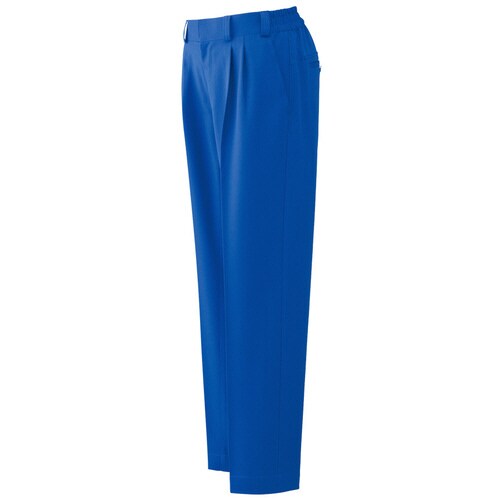 パンツ VES53ロイヤルブルー L