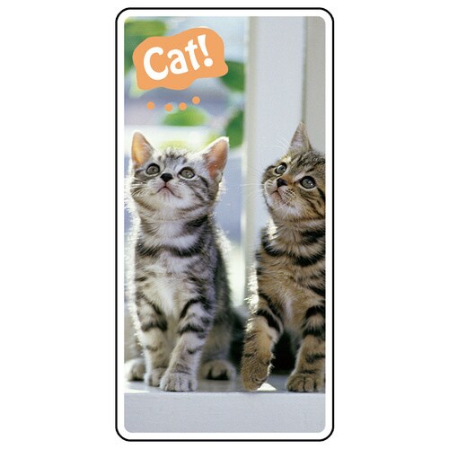 フォトジョイシール 915−42B 小ねこ