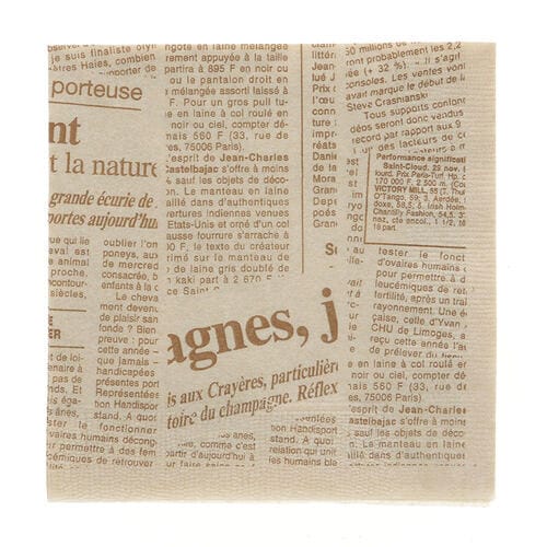 紙ナプキン2プライ四つ折ニュースレター未晒100袋