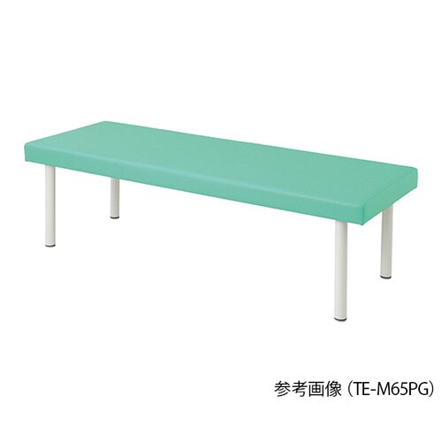 TE−M7019PG カラフル診察台