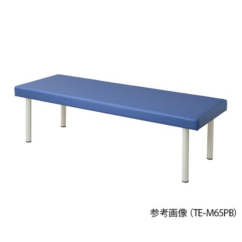 TE−M7019PB カラフル診察台