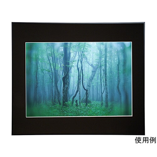 ACY−A2−BK アルミ額縁 A2 黒