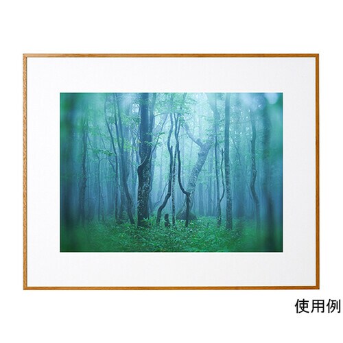 ACY−W4−NA アルミ額縁ナチュラル