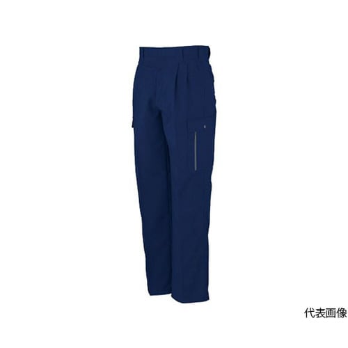 H−195−1−79 フィッシング