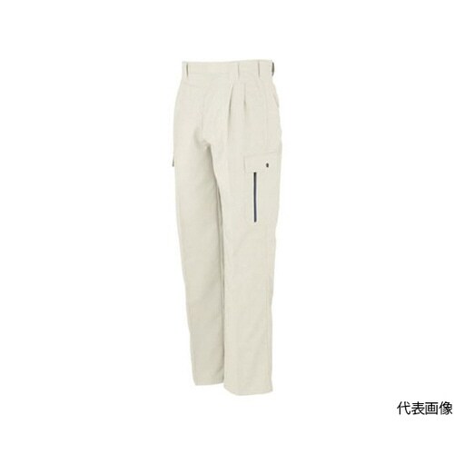 H−195−5−100 フィッシング