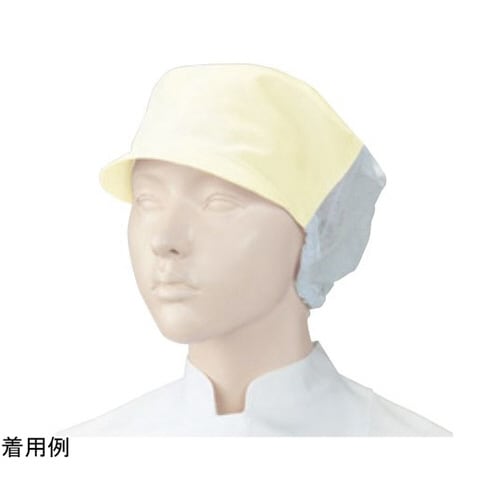 APK484−24フリー キャップ2枚