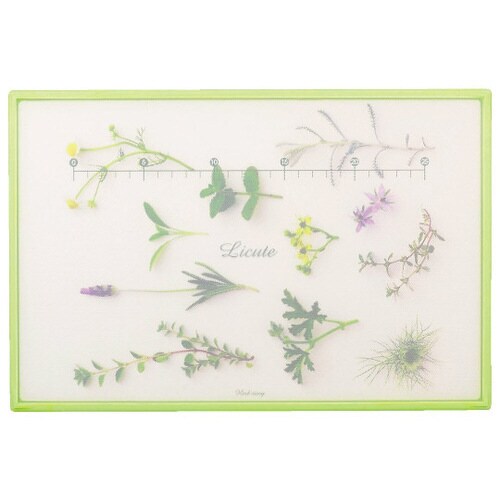 Licute 軽くて滑りにくいまな板 L