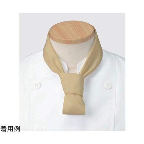 APK498−12フリー スカーフ2枚