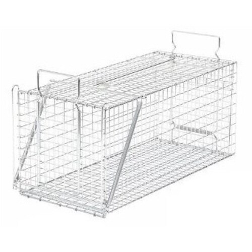 598009栄ヒルズ捕獲器対象動物イタチ