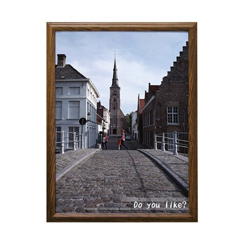 V ポスター額 B2判 ブラウン VPF−B2BR