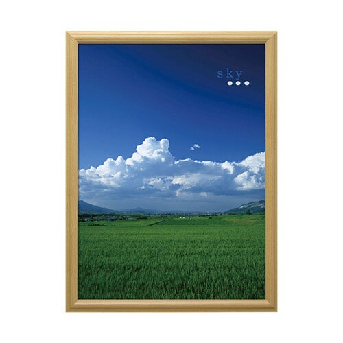 VPF−B2NL ポスター額 ナチュラル