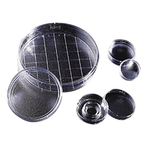 セルカルチャーディッシュ 35×10mm