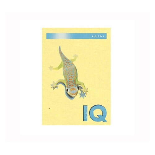 バイオトップカラー イエロー