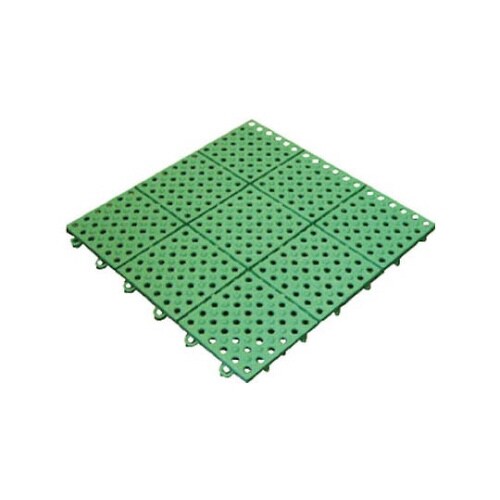 4220260 パレスチェッカー 緑