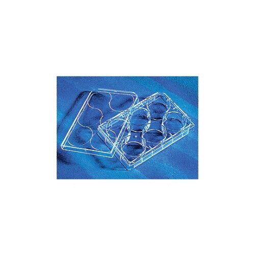 CellBIND(R)6ウェルプレートフ