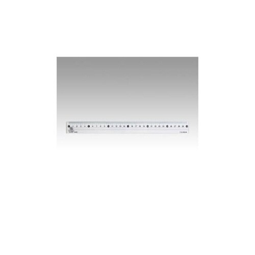 再生ペット定規 30cm