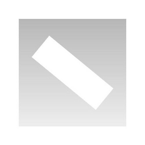 両面カラーマグネット 白/白