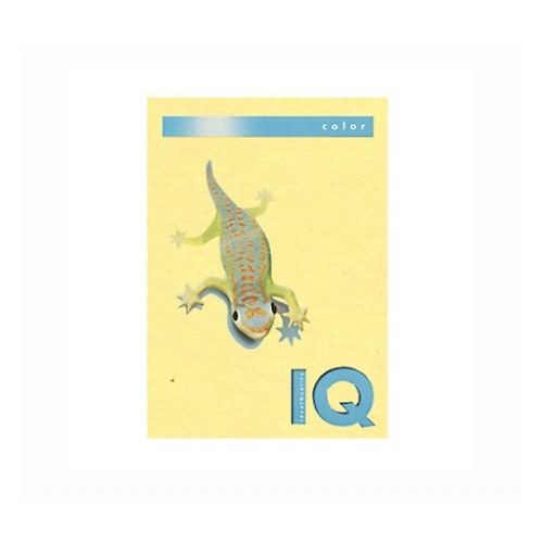 バイオトップカラー イエロー