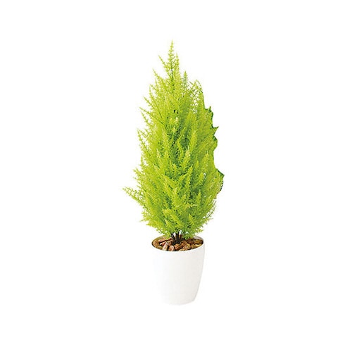 SG ゴールドクレストツリー 1.1m