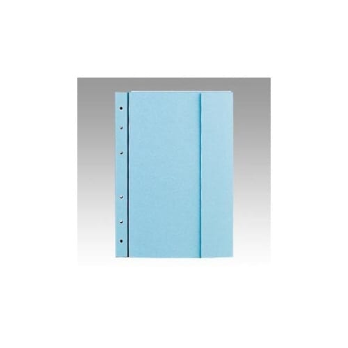 プロテクトファイル 青