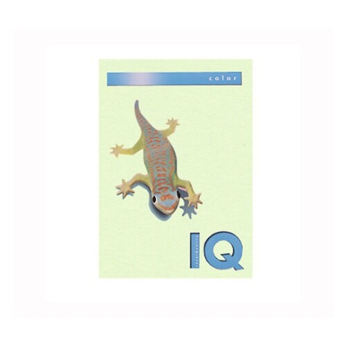 バイオトップカラー グリーン