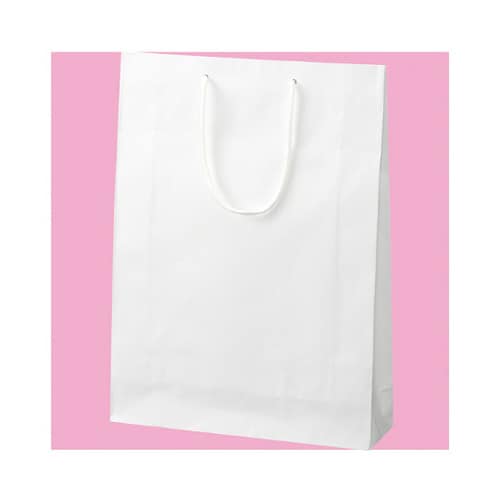 61−549−37−6 カラークラフト袋