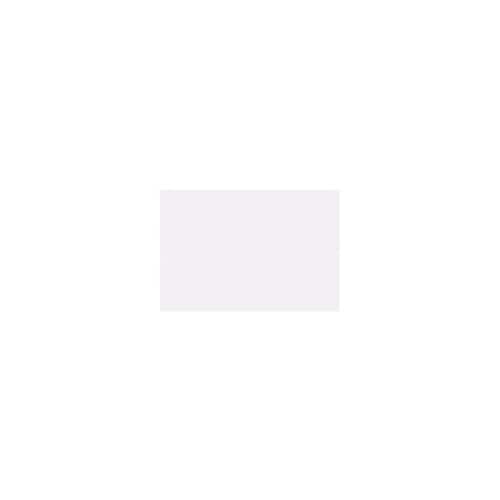 再生色画用紙 8ツ切 10枚 うさぎ