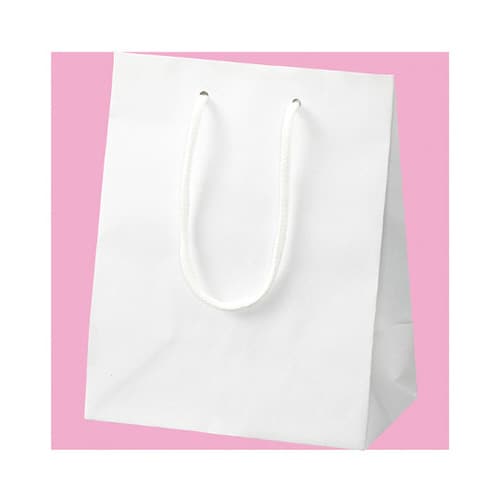 61−549−37−4 カラークラフト袋