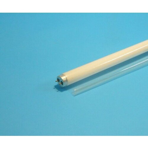 モスクリーンカール クリア 1箱(25本入)